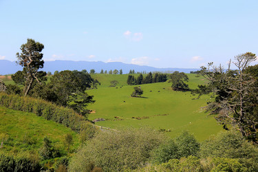 Similar image 21499735