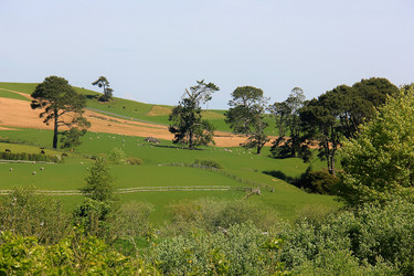 Similar image 21499736