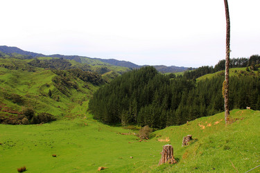 Similar image 21499737