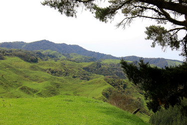 Similar image 21499738