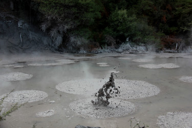 Similar image 21499740