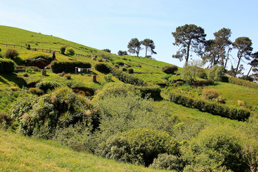 Similar image 21499746