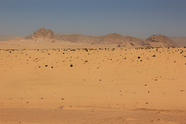 Similar image 21502816