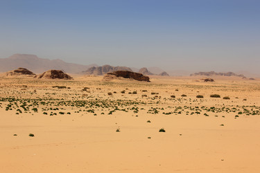 Similar image 21502820