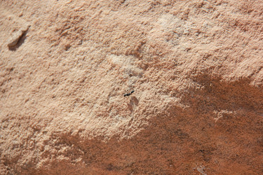 Similar image 21503261