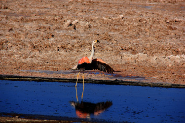 Similar image 21503708