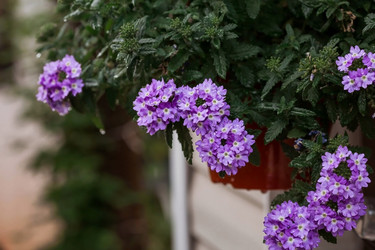 Similar image 21497513