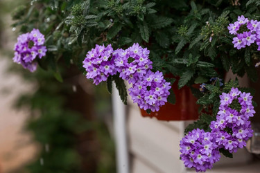 Similar image 21497517