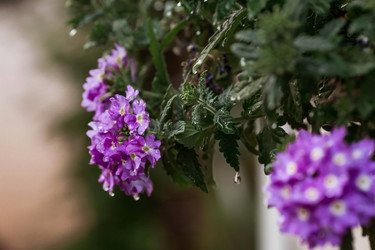 Similar image 21497519