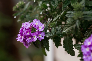 Similar image 21497521