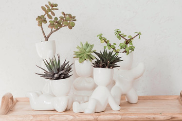 Similar image 21497543