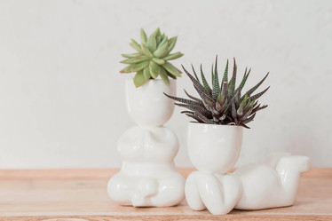 Similar image 21497547