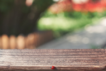 Similar image 21497834