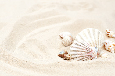 Similar image 21497838