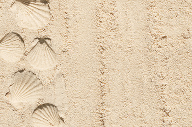 Similar image 21497844