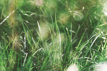 Similar image 21497846