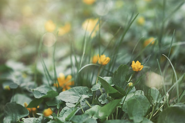 Similar image 21497848