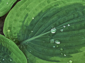 Similar image 21497849