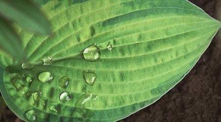 Similar image 21497852