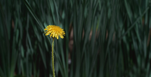 Similar image 21497853