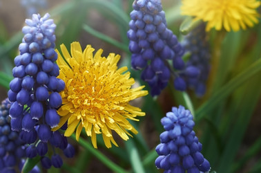 Similar image 21497854