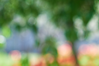 Similar image 21497881