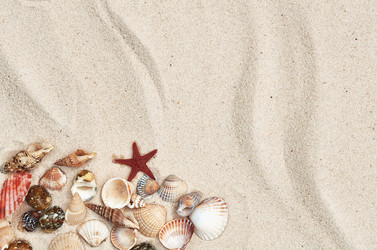 Similar image 21497886