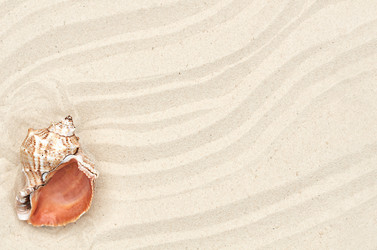 Similar image 21497887