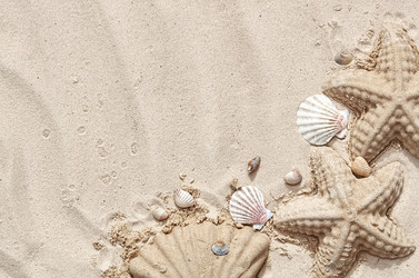 Similar image 21497893