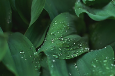 Similar image 21497896