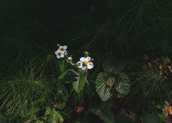 Similar image 21497647