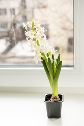 Similar image 21497464