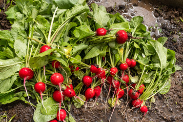 Similar image 21497466