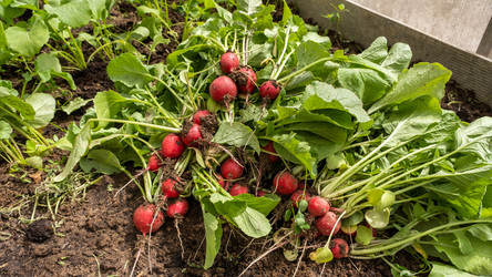 Similar image 21497467