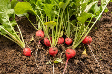 Similar image 21497468