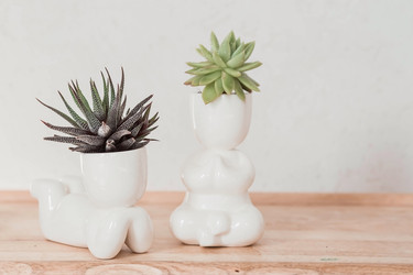 Similar image 21497549