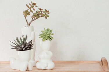 Similar image 21497551