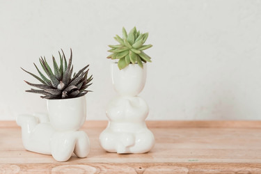 Similar image 21497552