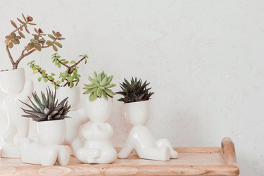 Similar image 21497555