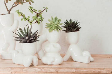 Similar image 21497557