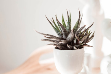 Similar image 21497559