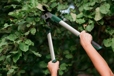 Similar image 21497560