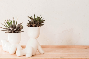 Similar image 21497561