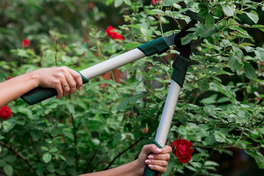 Similar image 21497562