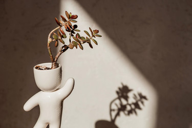 Similar image 21497563