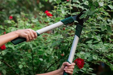 Similar image 21497564