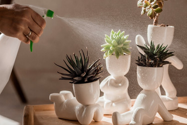 Similar image 21497569