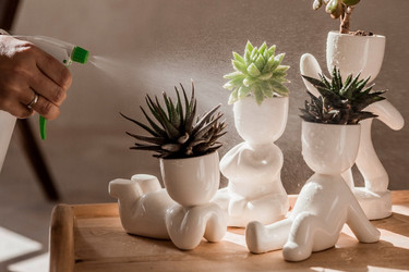 Similar image 21497570