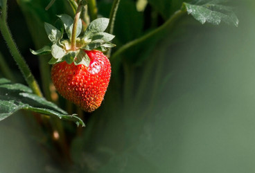 Similar image 21497578