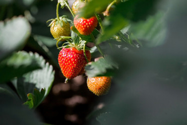 Similar image 21497580